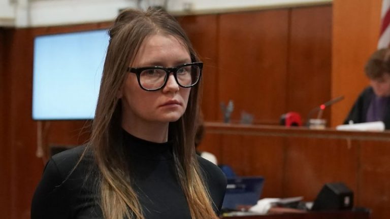 Anna Delvey Net Worth