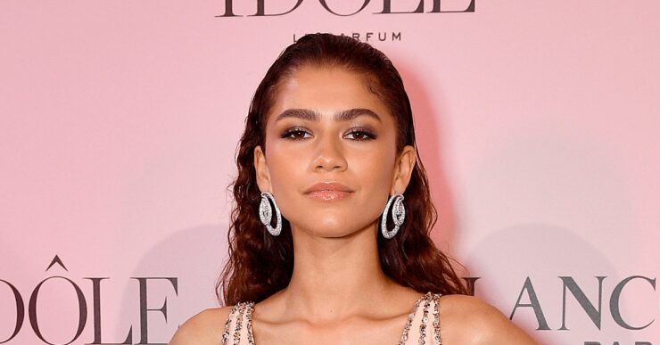 A Glimpse into Zendaya's Ancestry: Unveiling Her Ethnicity