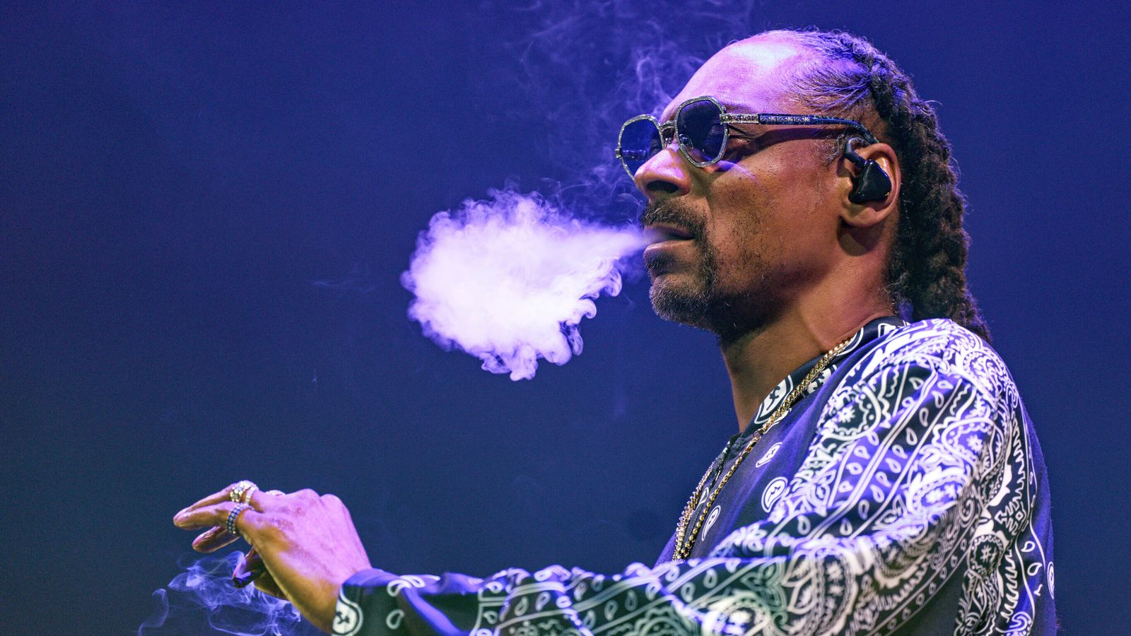 Actualización del patrimonio neto de Snoop Dogg para 2024