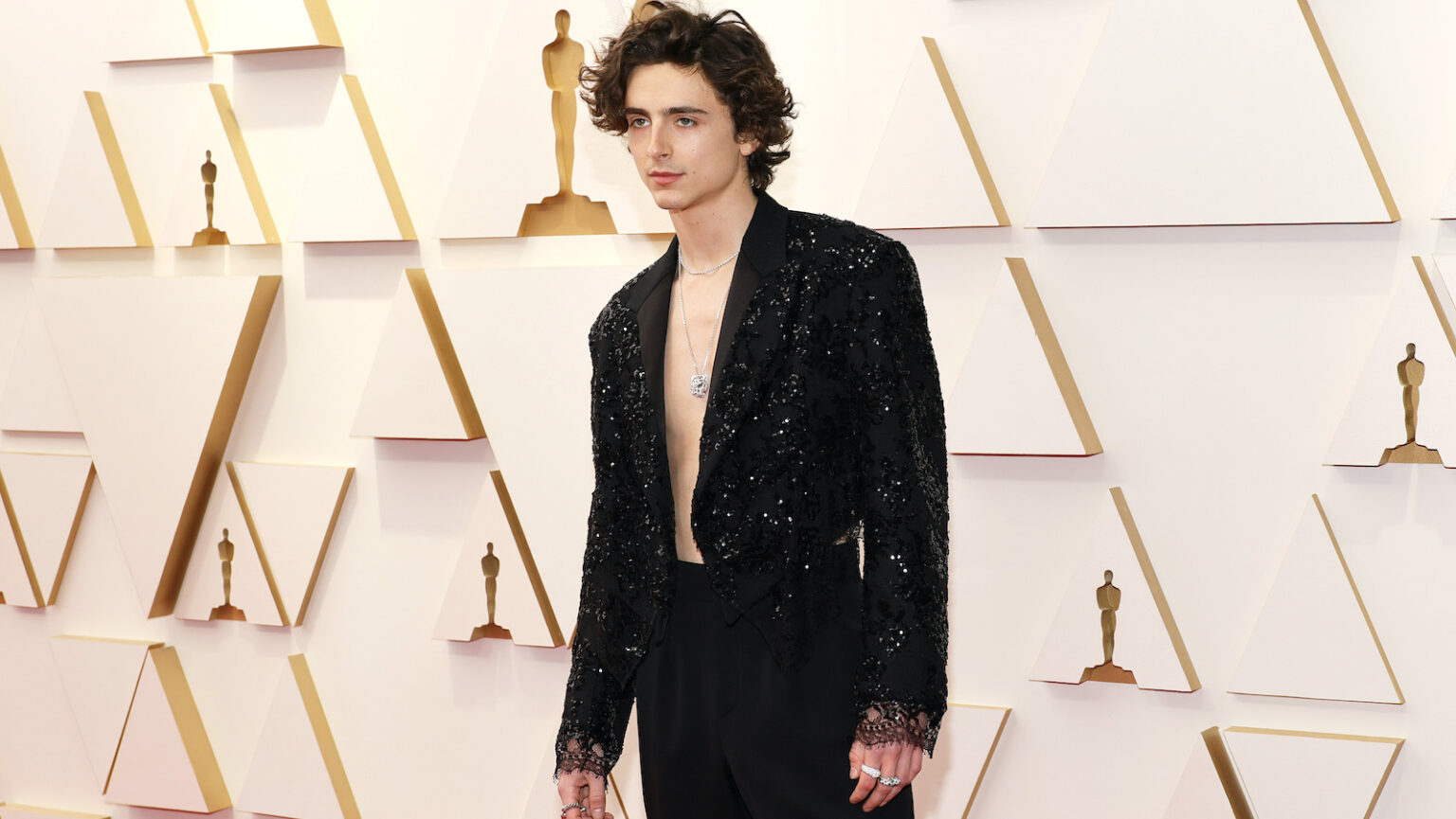 Unveiling Timothée Chalamet Height, Age, Ethnicity Revealed