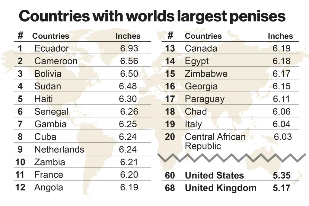 Average Penis Size Worldwide